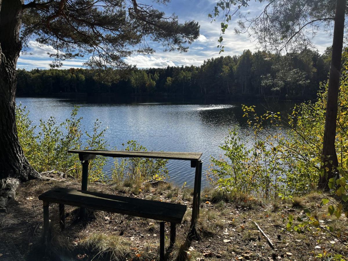 Ferienwohnung Am See Dillich - Ruhige Lage - Eigener Garten - Direkt Neben Einem Natursee Borken  Εξωτερικό φωτογραφία
