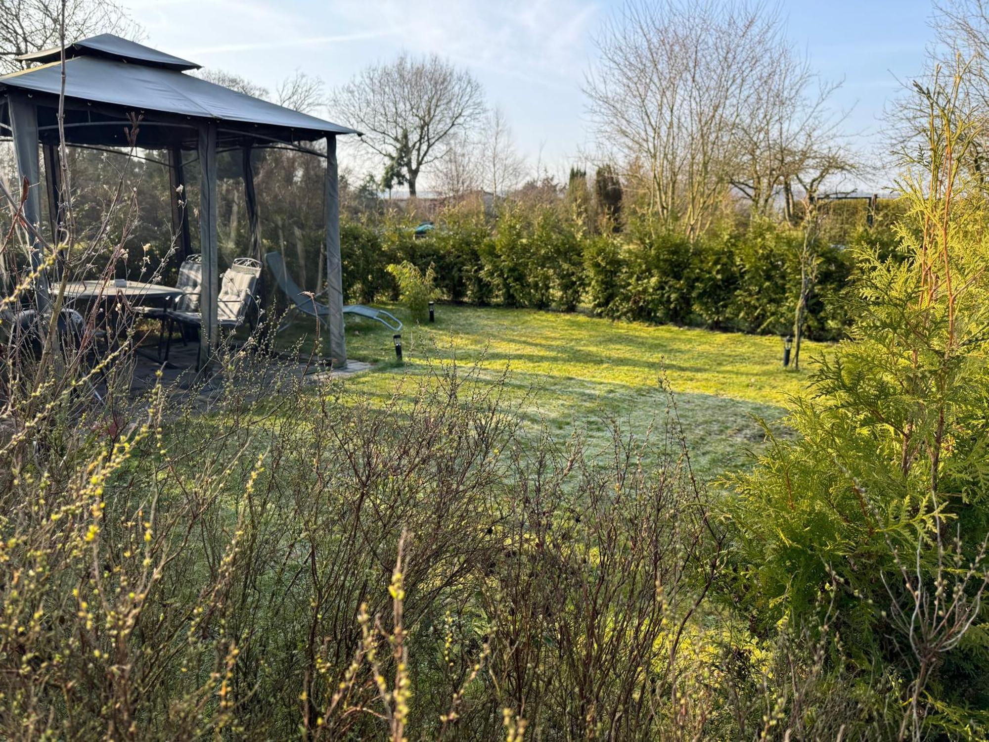 Ferienwohnung Am See Dillich - Ruhige Lage - Eigener Garten - Direkt Neben Einem Natursee Borken  Εξωτερικό φωτογραφία