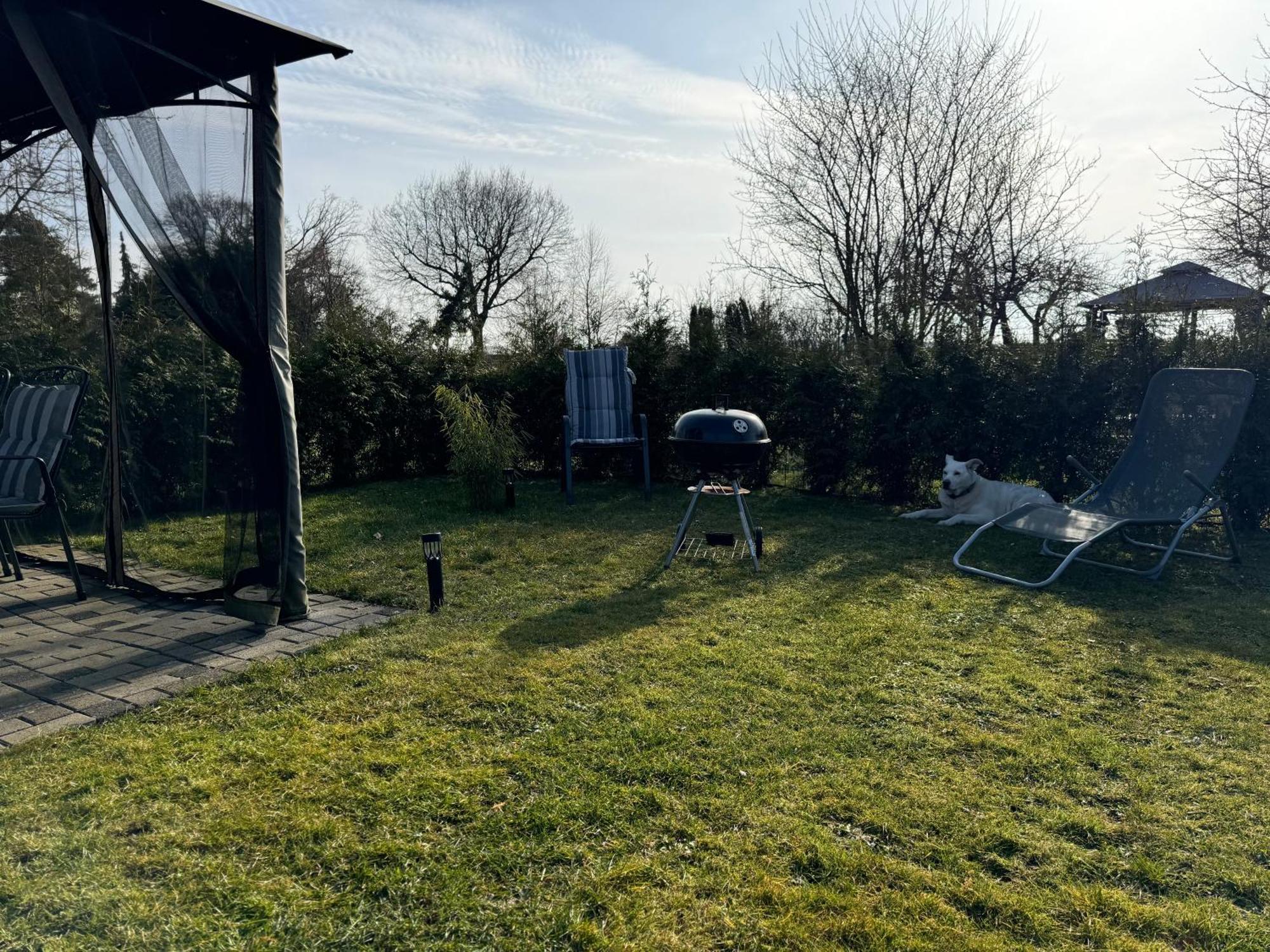 Ferienwohnung Am See Dillich - Ruhige Lage - Eigener Garten - Direkt Neben Einem Natursee Borken  Εξωτερικό φωτογραφία