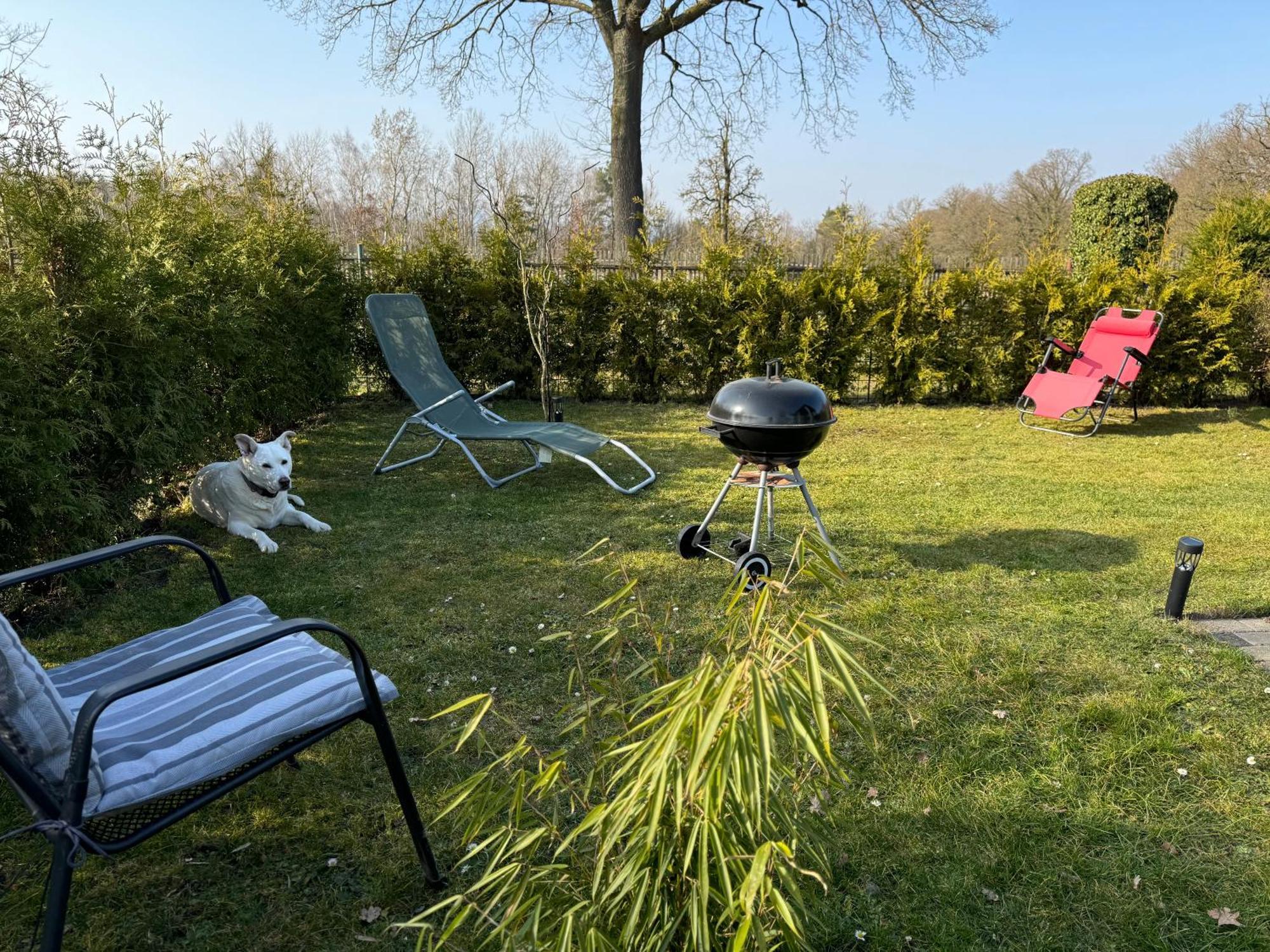 Ferienwohnung Am See Dillich - Ruhige Lage - Eigener Garten - Direkt Neben Einem Natursee Borken  Εξωτερικό φωτογραφία