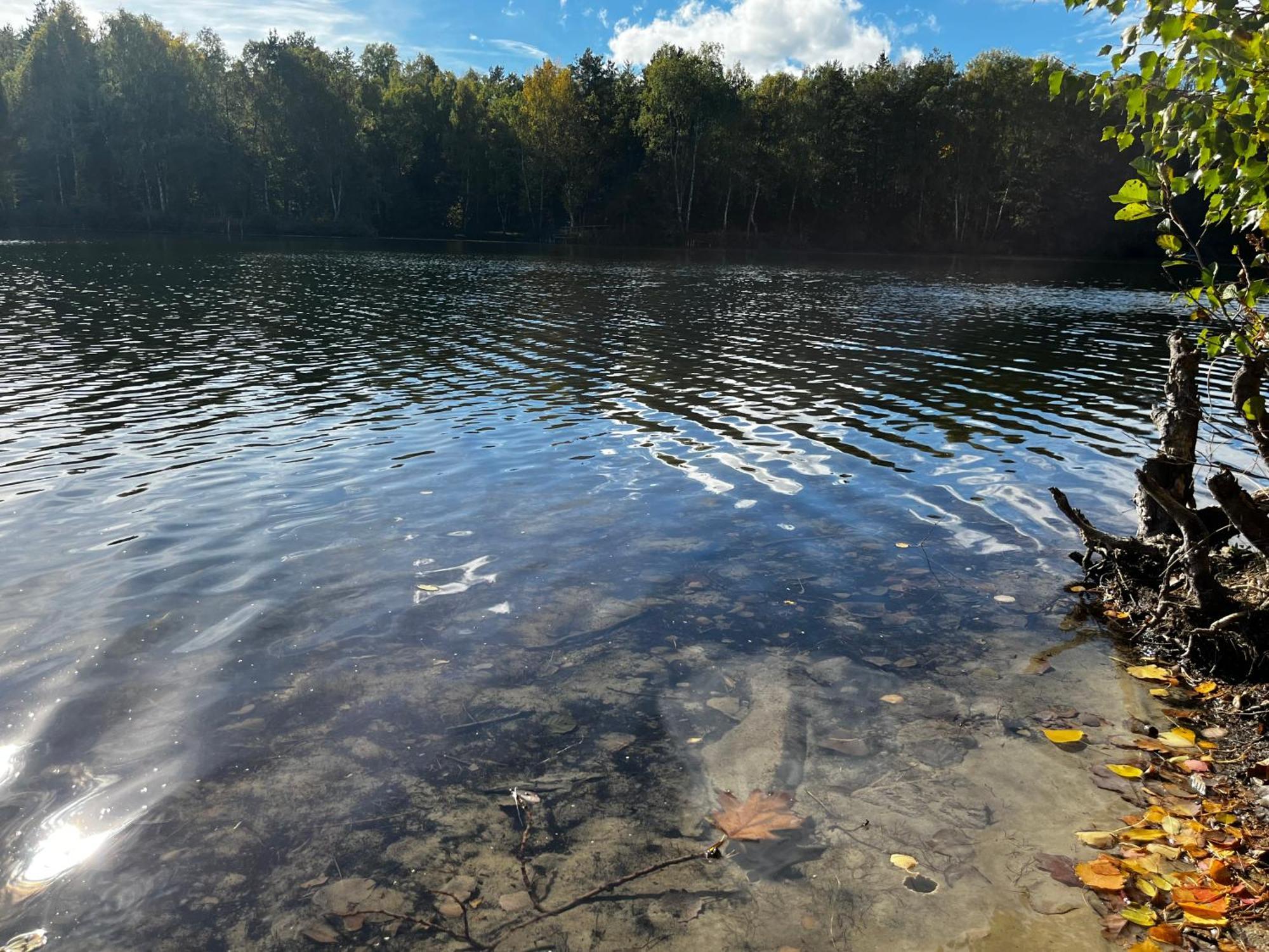 Ferienwohnung Am See Dillich - Ruhige Lage - Eigener Garten - Direkt Neben Einem Natursee Borken  Εξωτερικό φωτογραφία