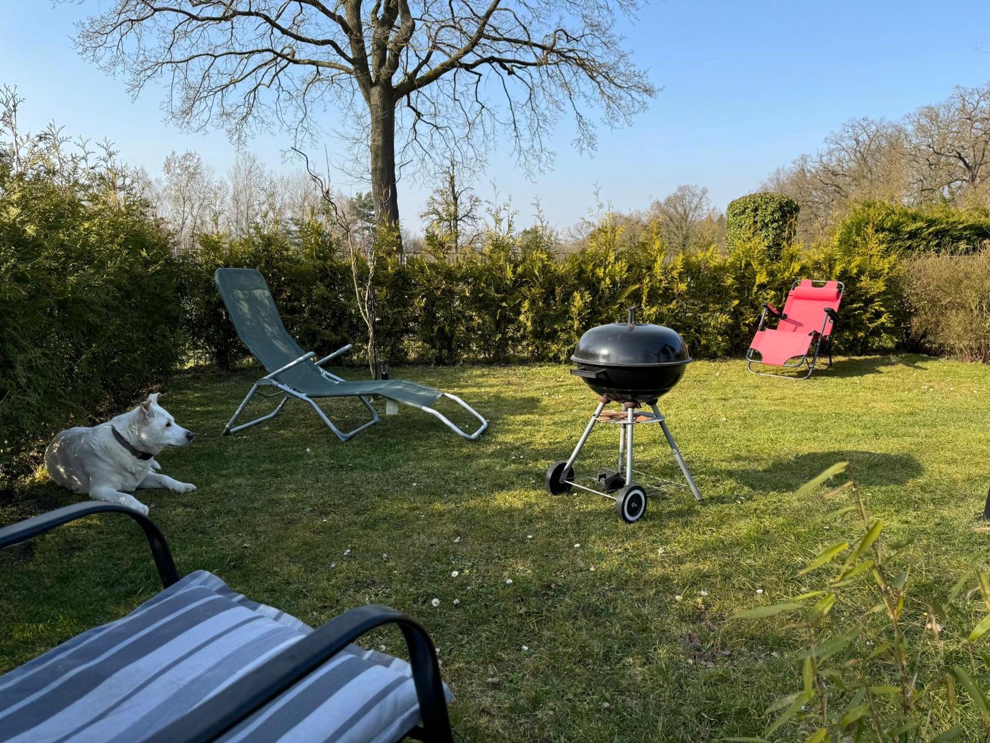 Ferienwohnung Am See Dillich - Ruhige Lage - Eigener Garten - Direkt Neben Einem Natursee Borken  Εξωτερικό φωτογραφία