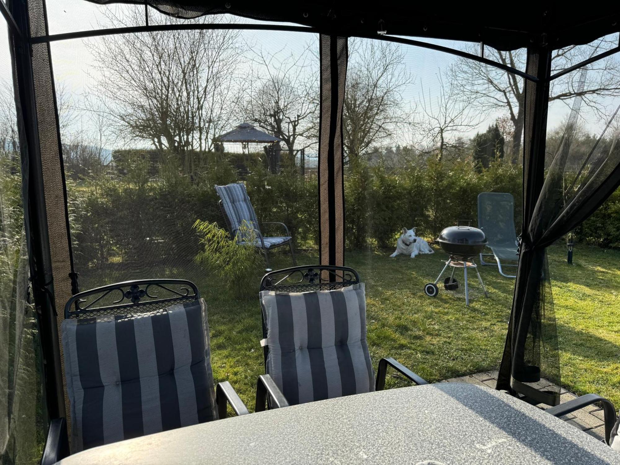 Ferienwohnung Am See Dillich - Ruhige Lage - Eigener Garten - Direkt Neben Einem Natursee Borken  Εξωτερικό φωτογραφία